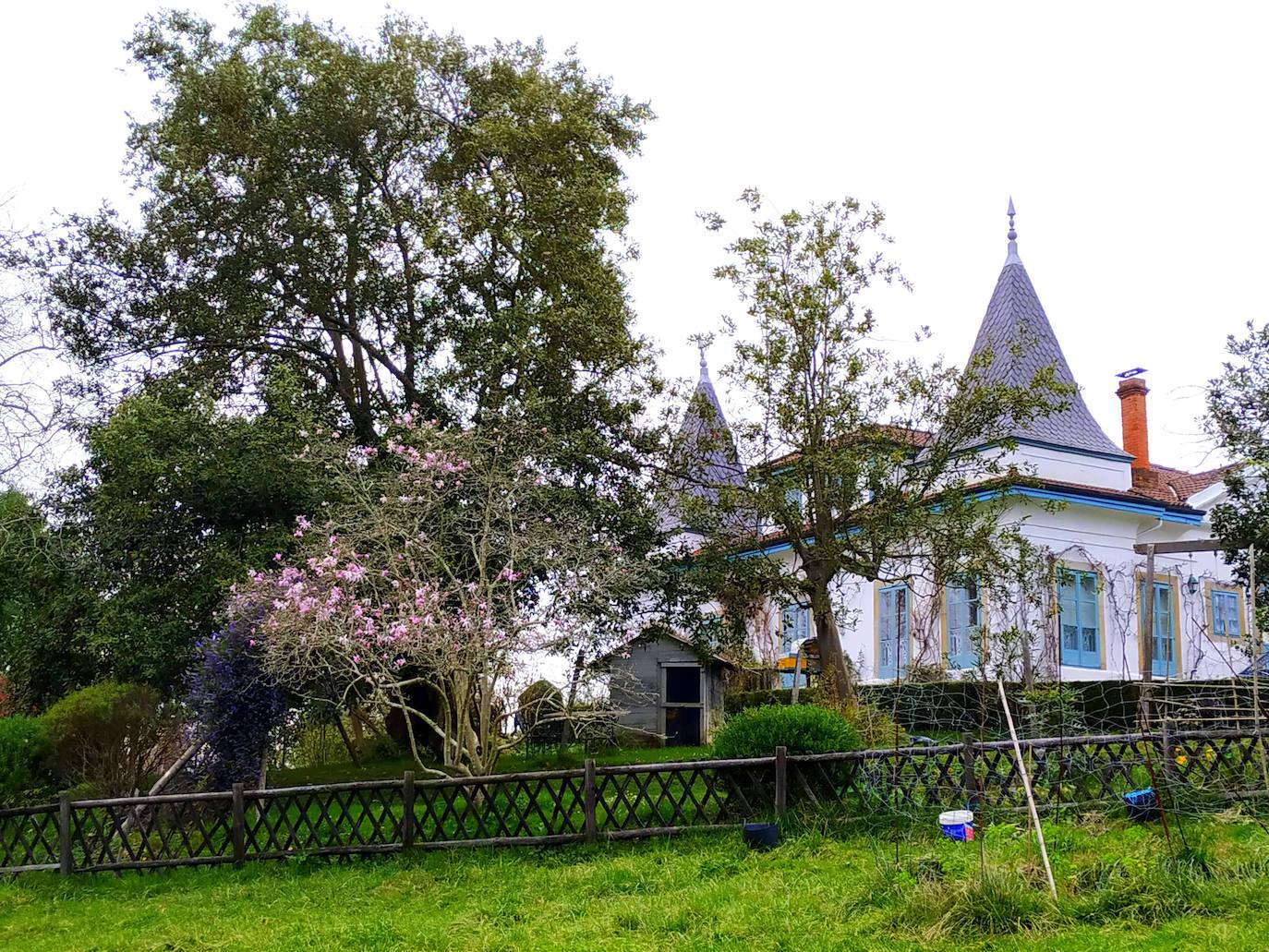 Ascenso por el jardín en espiral del palacio de arriba con el más que centenario alcornoque y una magnolia caducifolia.