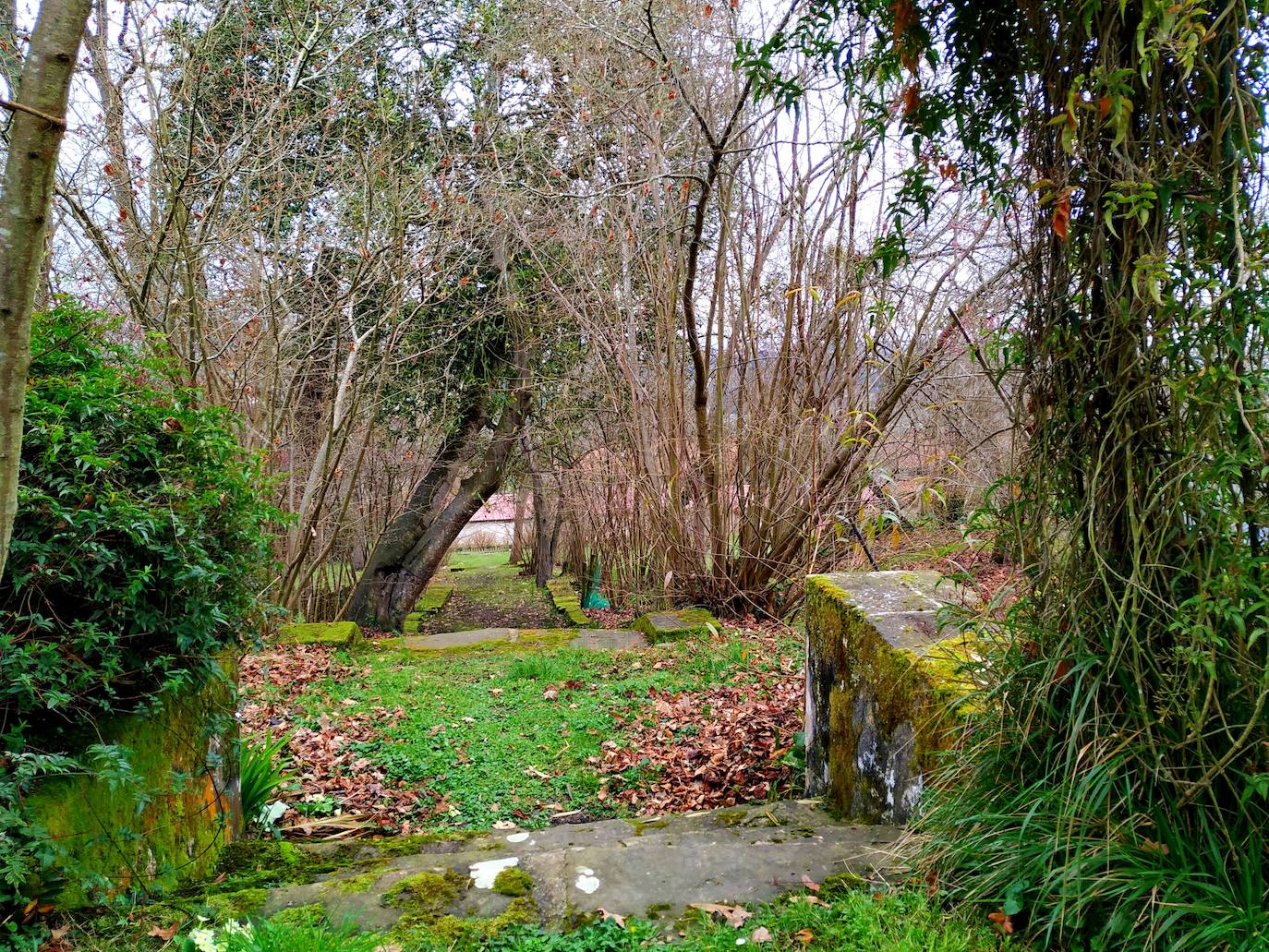 Vista del descenso de una de las escalinatas cubierta por na pérgola natural vegetal.