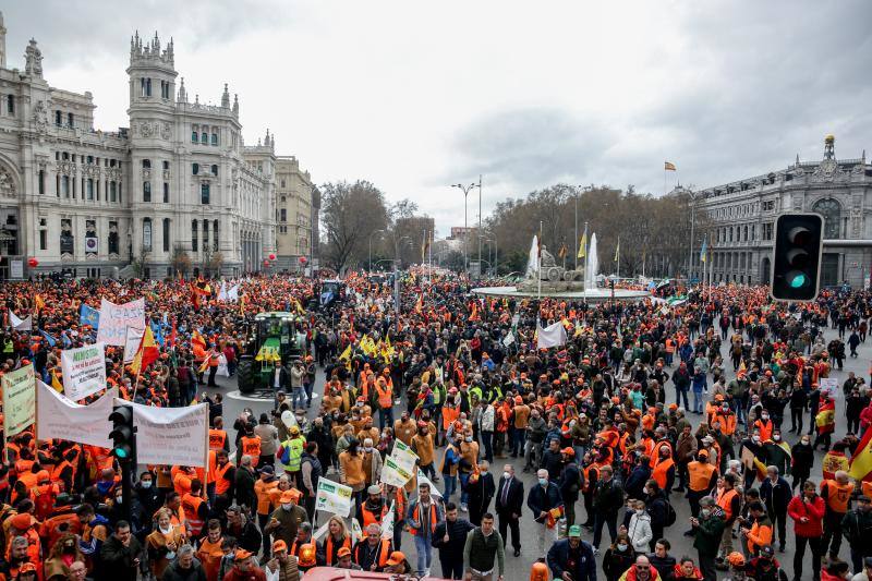 Imagen de la Plaza de Cibeles, en Madrid, a primera hora de la mañana.