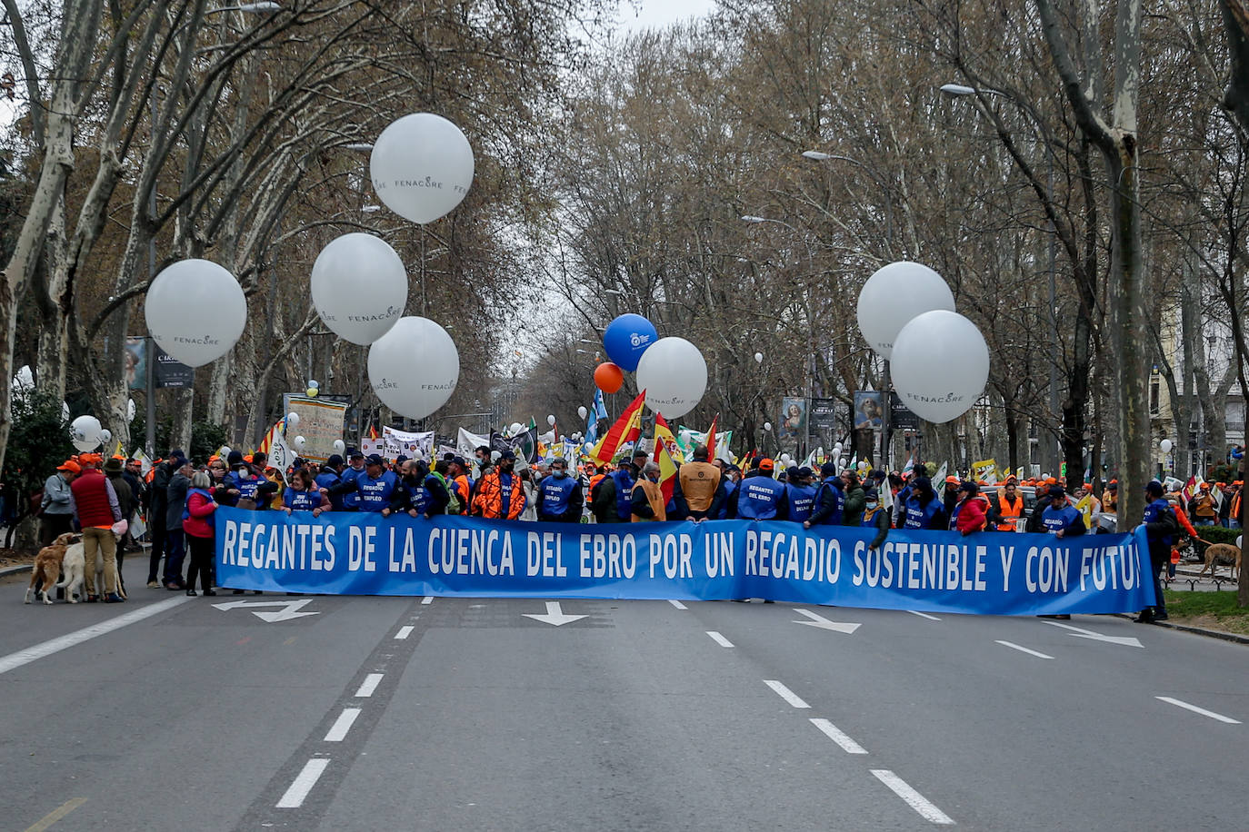 Decenas de miles de personas han tomado las calles de Madrid en una petición desesperada de auxilio al Gobierno por su supervivencia.