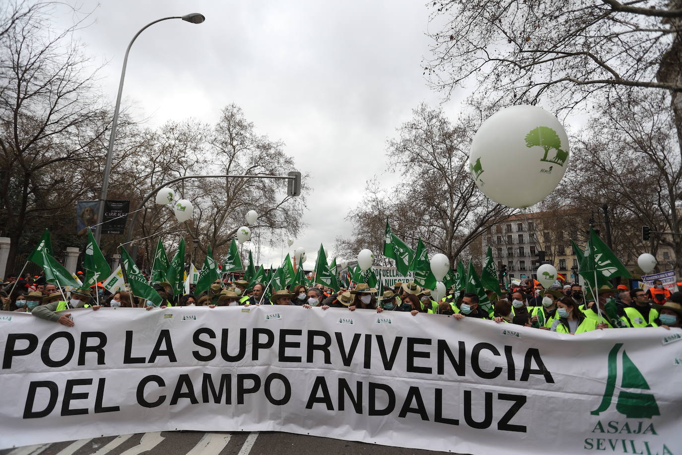 Decenas de miles de personas han tomado las calles de Madrid en una petición desesperada de auxilio al Gobierno por su supervivencia.