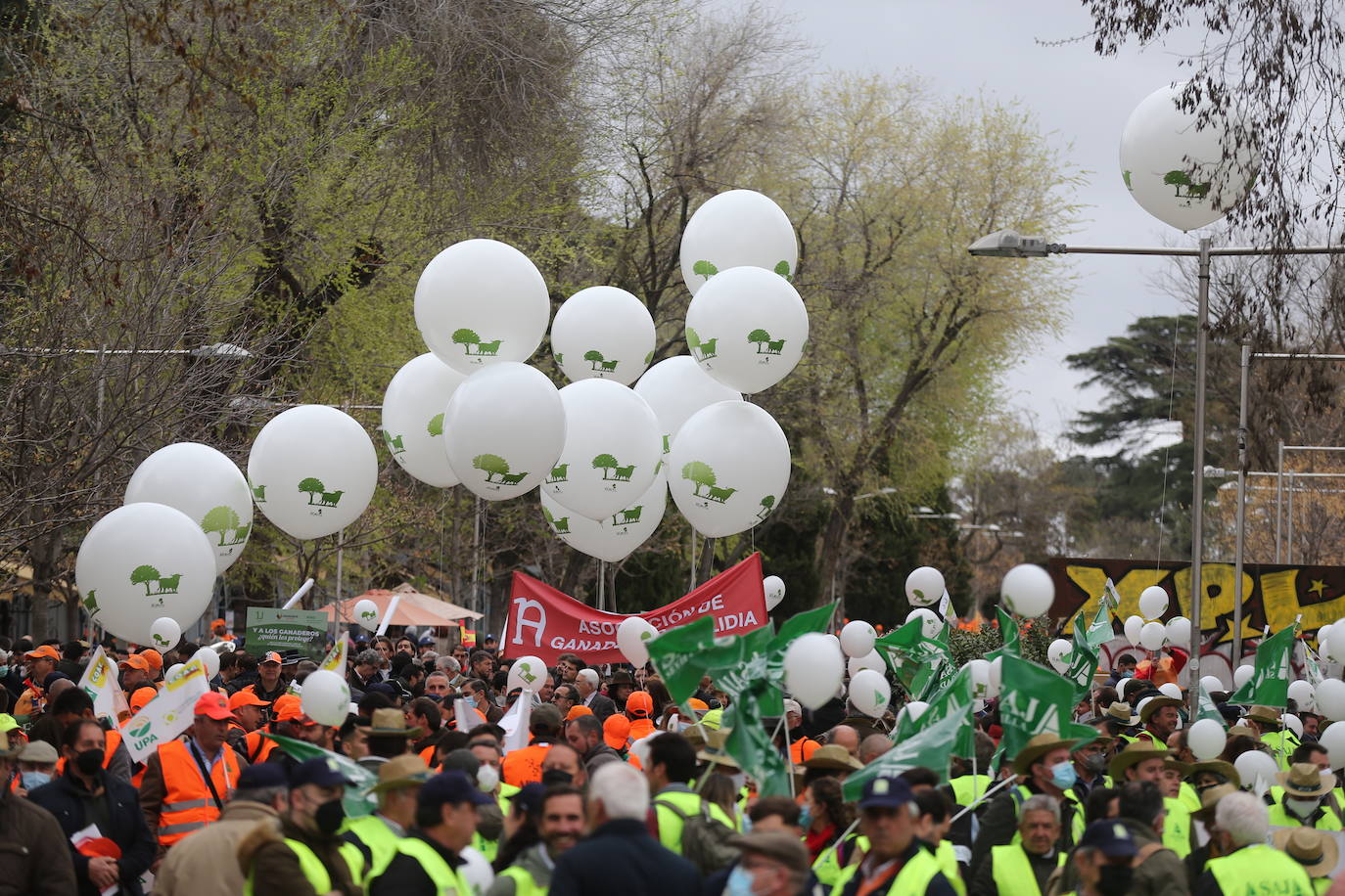 Decenas de miles de personas han tomado las calles de Madrid en una petición desesperada de auxilio al Gobierno por su supervivencia.