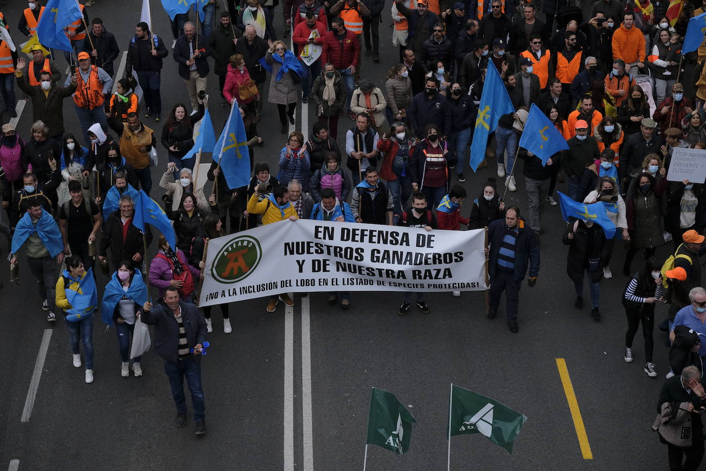 Decenas de miles de personas han tomado las calles de Madrid en una petición desesperada de auxilio al Gobierno por su supervivencia.