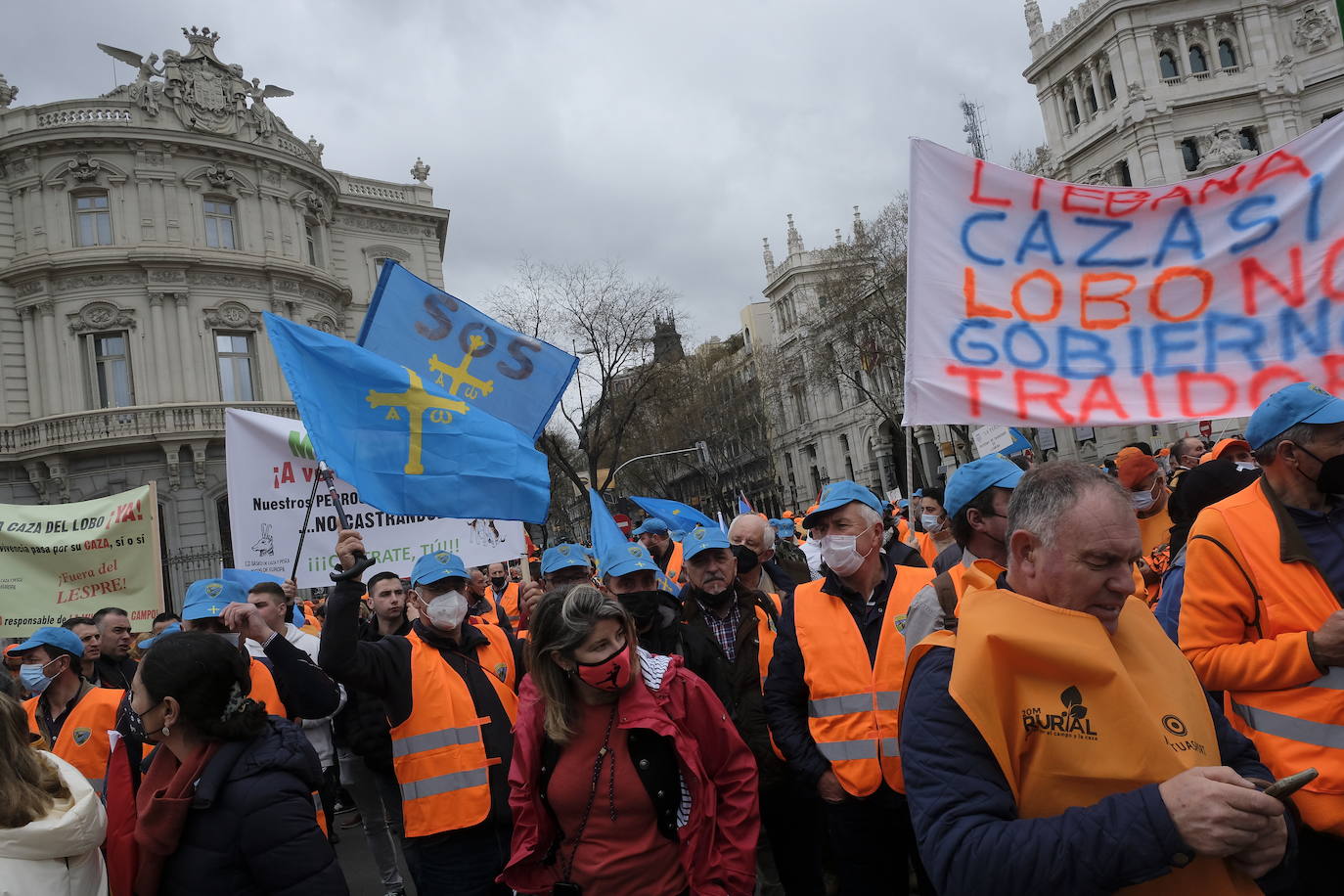 Decenas de miles de personas han tomado las calles de Madrid en una petición desesperada de auxilio al Gobierno por su supervivencia.