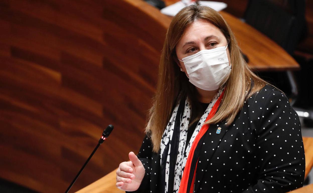 Lydia Espina, consejera de Educación, durante el pleno de hoy. 