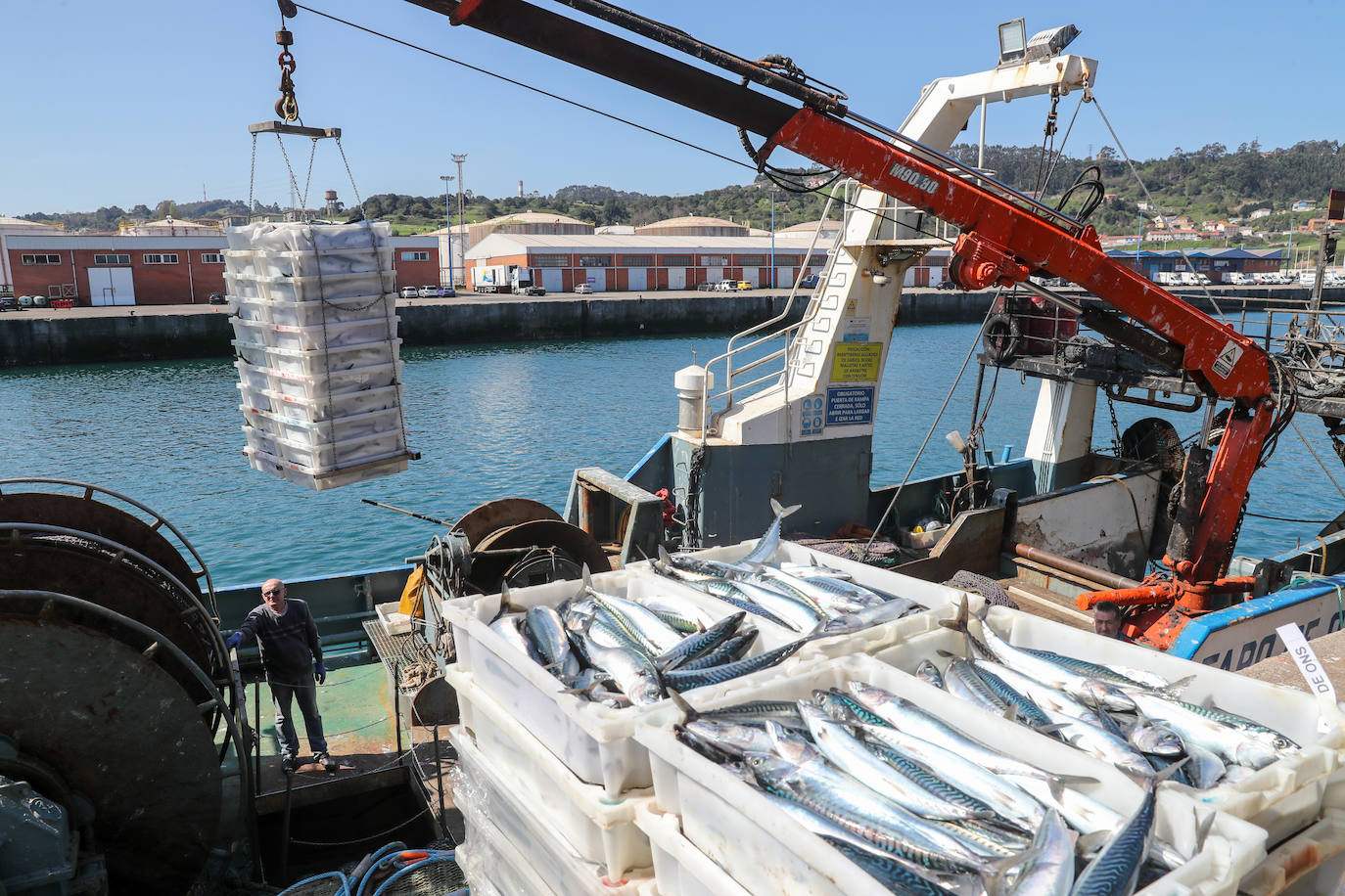 Después de tres días de amarre, la flota volvía este jueves a faenar. Al menos hasta el martes. En Gijón, entraba un barco a descargar xarda, cuya temporada comenzó a finales del mes de febrero.