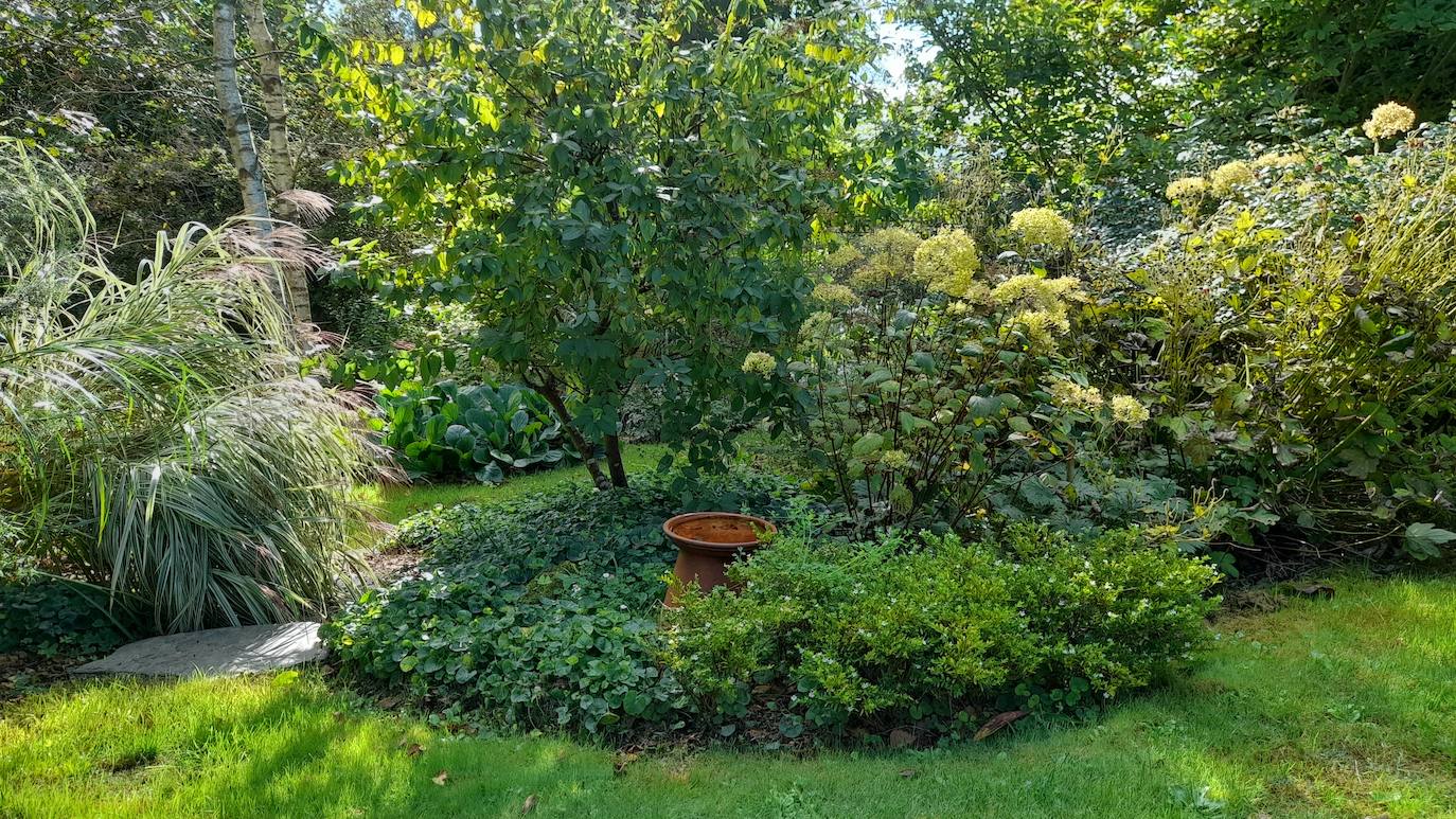 Hermosa vista de los parterres con diferentes volúmenes combinados con flores, plantas herbáceas y portes arbustivos