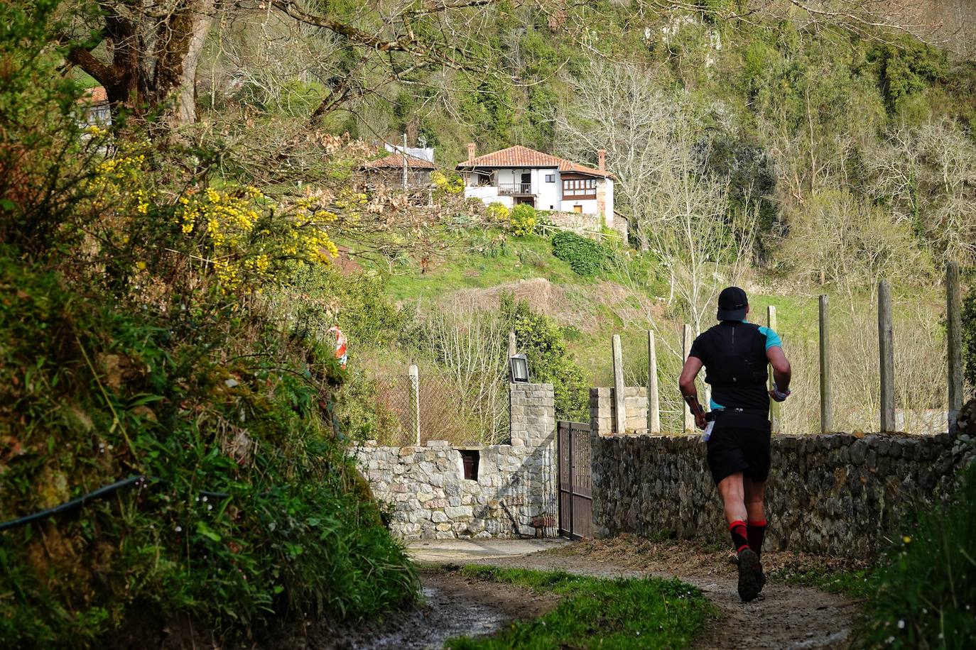 Sin duda, una de las cumbres más visitadas y más accesibles de Asturias es la ruta al PIcu Pienzu, donde centenares de personas participaron en la carrera de su subida. Comienza como un paseo de dos kilómetros llanos por pastos de montaña, en los que tenemos vistas a la costa, por un lado, y, por otro, a Arriondas y los Picos de Europa, entre otras impresionantes vistas de montaña que deja su recorrido.