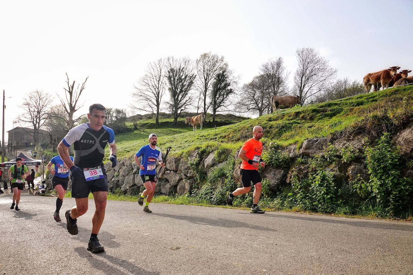 Sin duda, una de las cumbres más visitadas y más accesibles de Asturias es la ruta al PIcu Pienzu, donde centenares de personas participaron en la carrera de su subida. Comienza como un paseo de dos kilómetros llanos por pastos de montaña, en los que tenemos vistas a la costa, por un lado, y, por otro, a Arriondas y los Picos de Europa, entre otras impresionantes vistas de montaña que deja su recorrido.