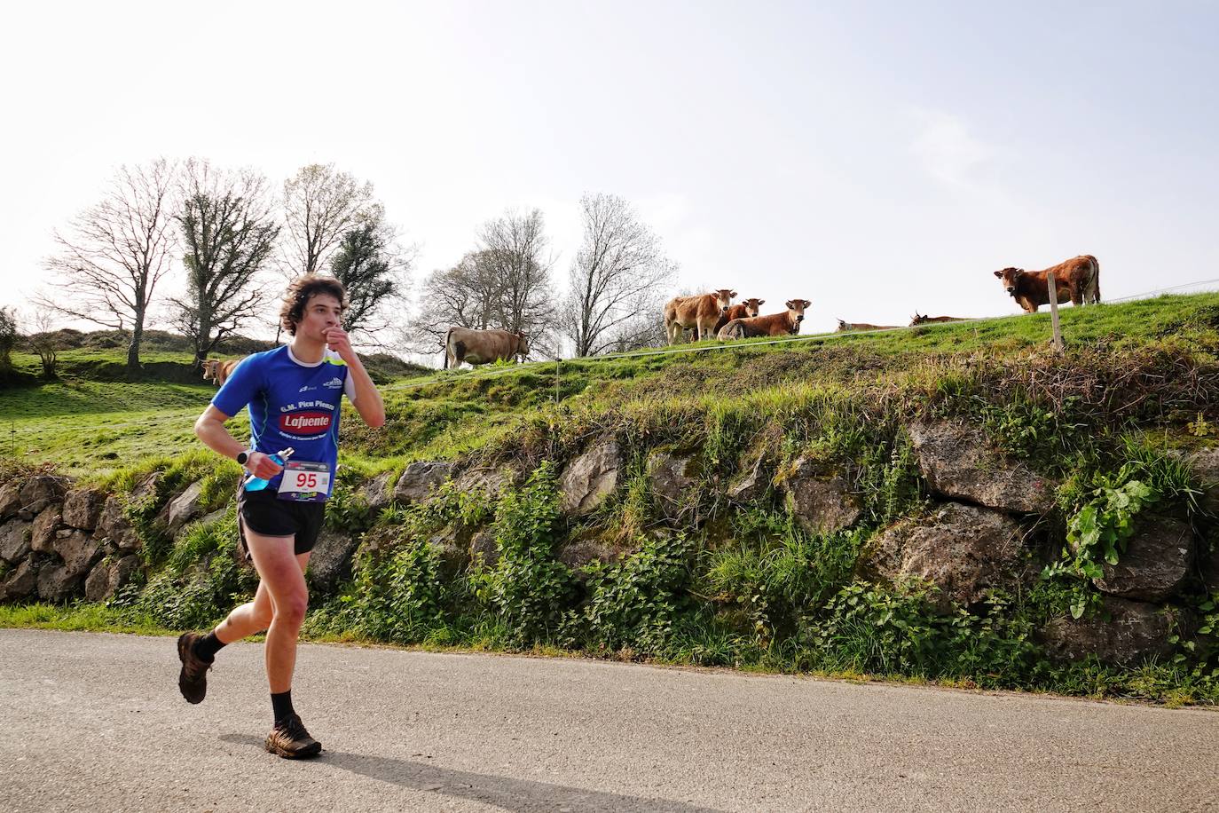 Sin duda, una de las cumbres más visitadas y más accesibles de Asturias es la ruta al PIcu Pienzu, donde centenares de personas participaron en la carrera de su subida. Comienza como un paseo de dos kilómetros llanos por pastos de montaña, en los que tenemos vistas a la costa, por un lado, y, por otro, a Arriondas y los Picos de Europa, entre otras impresionantes vistas de montaña que deja su recorrido.