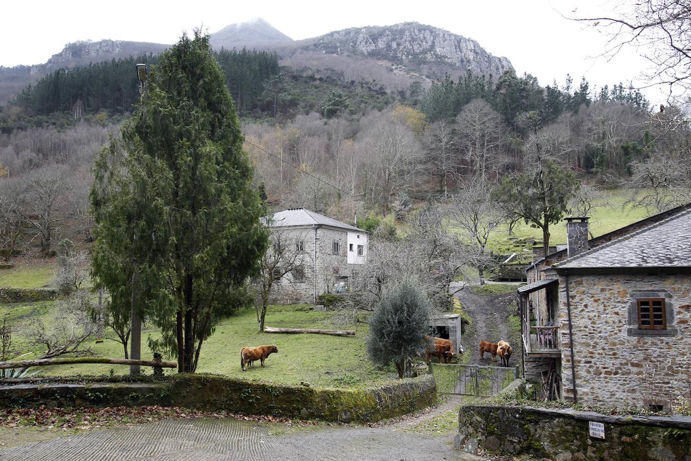 Boal: Dólmenes, cuevas, castros, casas de indianos... Estos son algunos de los tesoros que podrás encontra en Boal. Un lugar que en cualquier época del año cuenta con los mejores paisajes y que se asienta a 450 m de altitud en la ladera oriental de la sierra de Penouta.