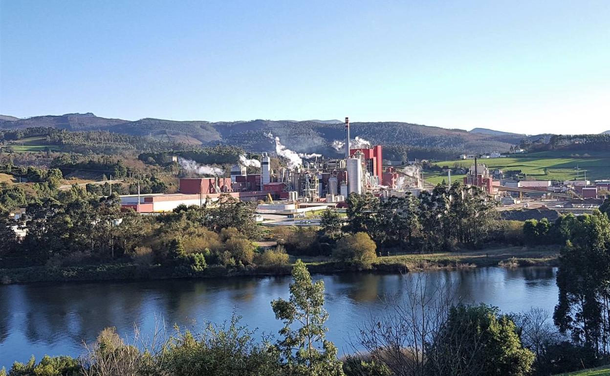 Biofábrica de Ence, en Navia