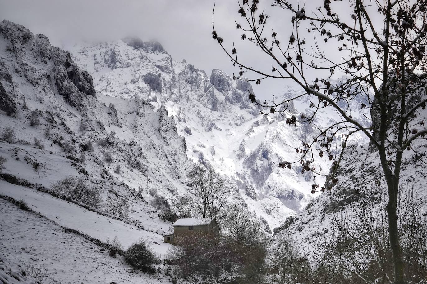 La llegada de la borrasca 'Ciril' ha devuelto el tiempo invernal a la región, con un notable descenso de las temperaturas y nieve en cotas bajas y abundantes chubascos en las ciudades asturianas