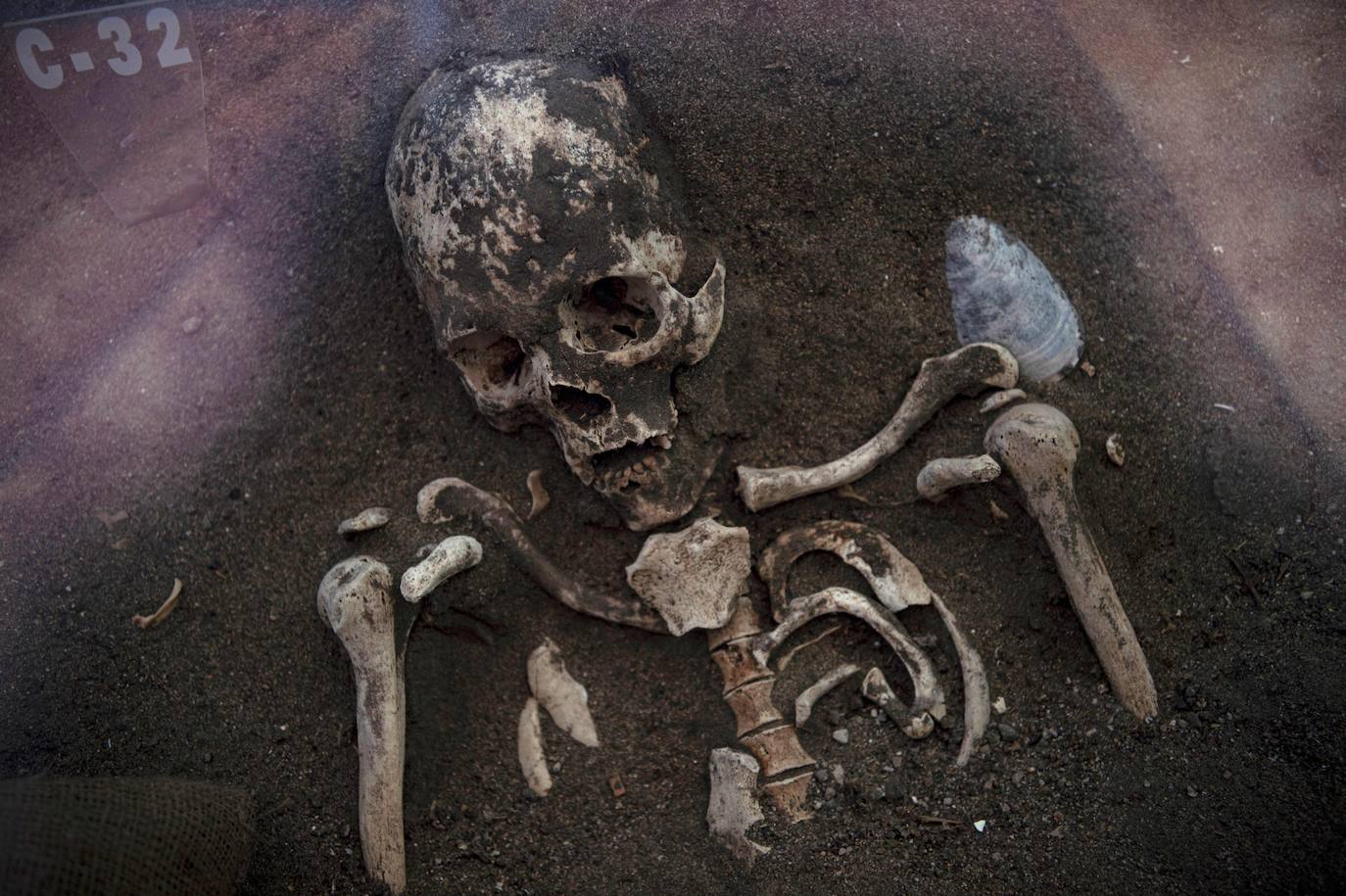 Hace más de 7.000 años, mucho antes que los egipcios, la cultura chinchorro, un pueblo de pescadores que habitaron el norte de Chile, desarrolló un sistema artificial de momificación que asombra por sus distintas técnicas y lo que revela sobre la relación con sus muertos. Las momias chinchorro, declaradas patrimonio de la humanidad por la Unesco en julio de 2021, son las más antiguas de mundo. Aunque con claras diferencias frente a las egipcias, que desarrollaron la momificación unos 2.000 años después, demuestran igualmente el avanzado dominio del cuerpo humano por parte de uno de los pueblos más primitivos de los que se tenga registro. Por su antigüedad no ha sido posible extraer el ADN de los cuerpos, lo que dificulta a los científicos conocer más antecedentes de esta cultura. Para seguir con las investigaciones, se va a construir un museo que exhibirá y conservará las más de 2.500 piezas arqueológicas y etnográficas.