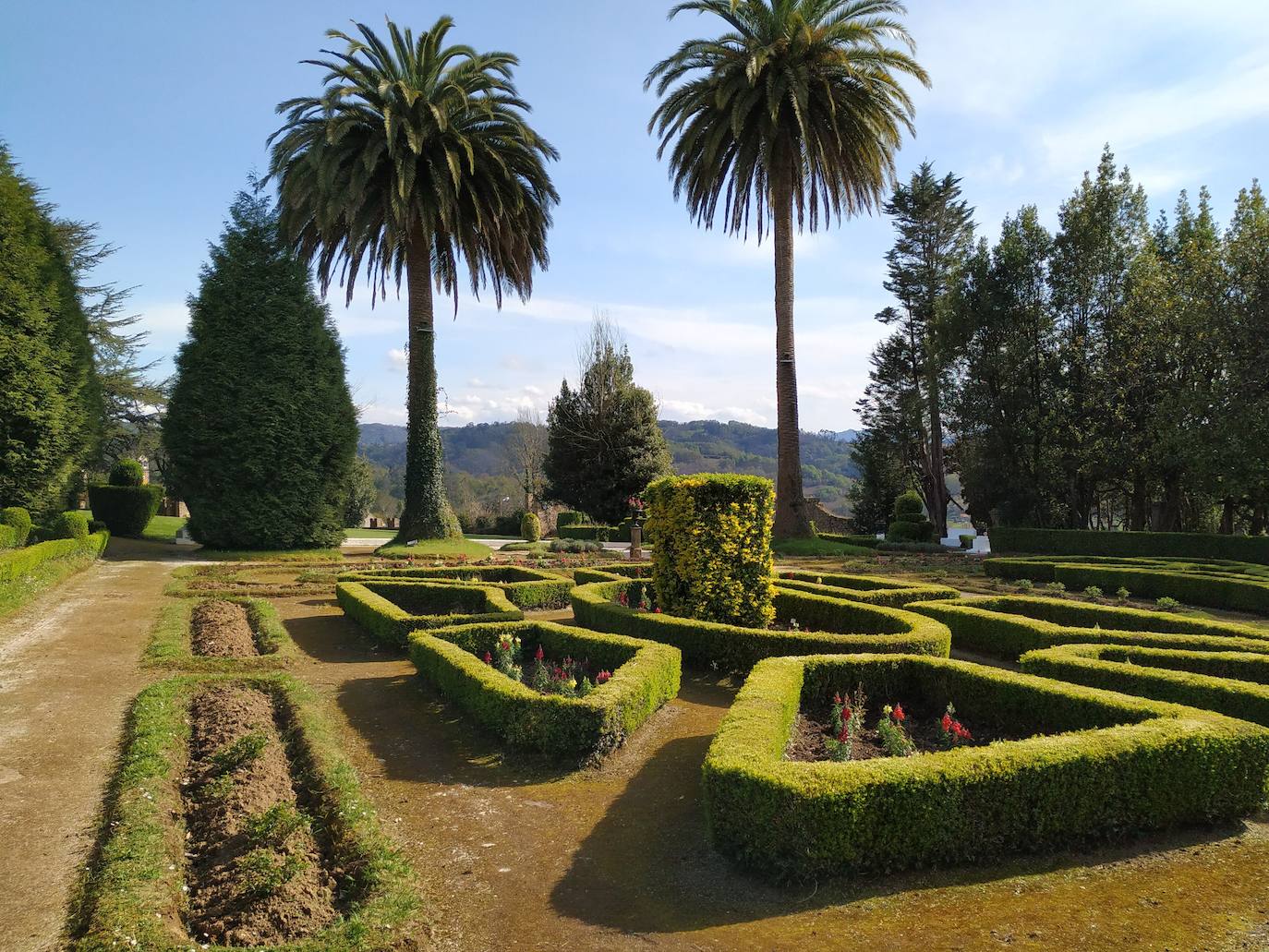 Mitad meridional del brocado de boj del jardín simétrico francés. Donde se encuentran esos macizos cúbicos hubo dos estatuas.