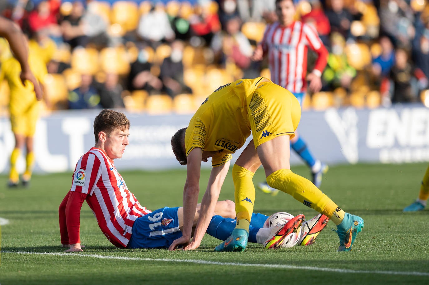 Fotos: Las mejores imágenes del Alcorcón - Sporting