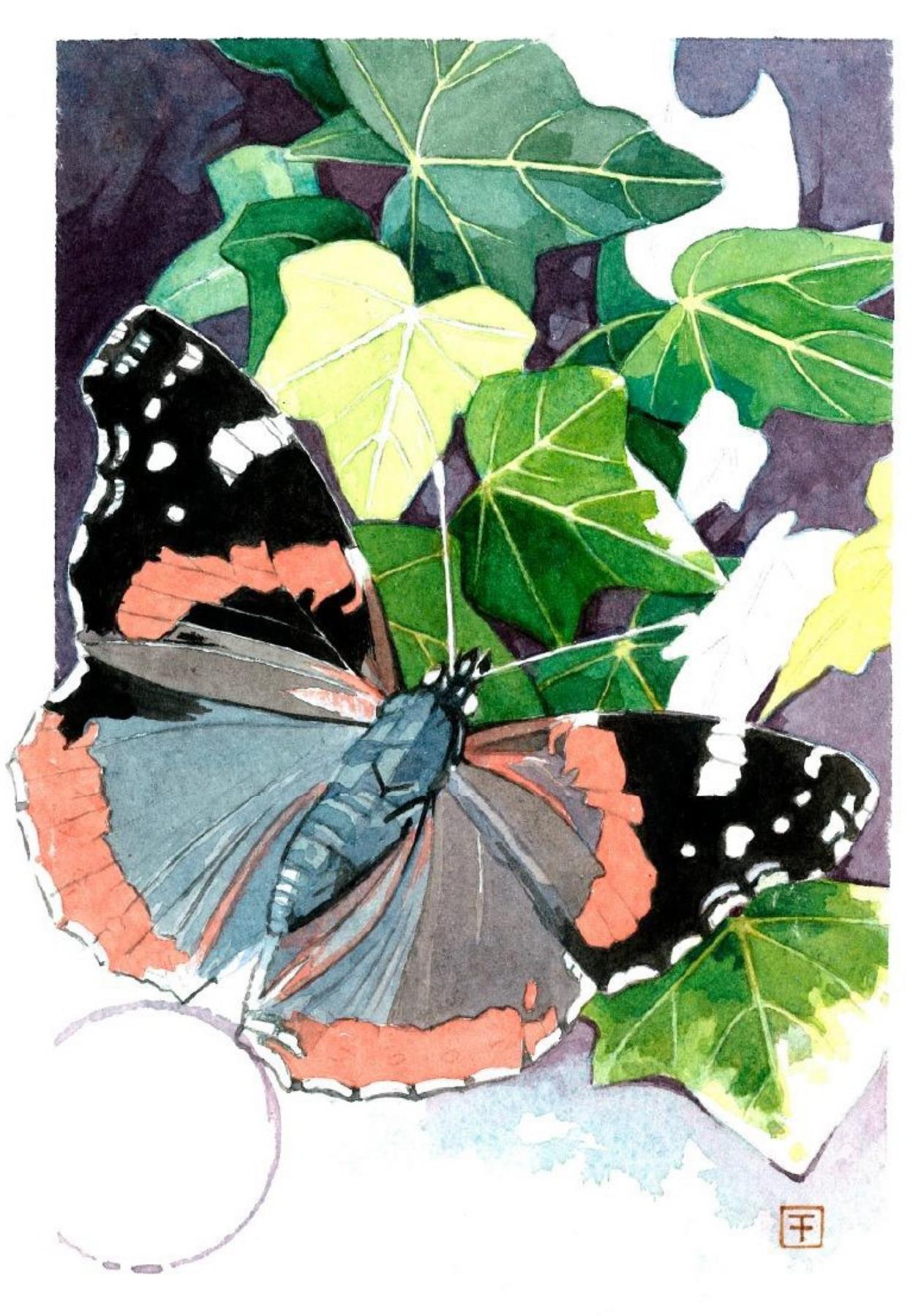 A la izquierda, uno de los dibujos del artista asturiano Fernando Fueyo para el jardín. Arriba, sus recreaciones de una mariposa (Antocharis cardamine) y un coracero rojo (Ragonycha fulva).