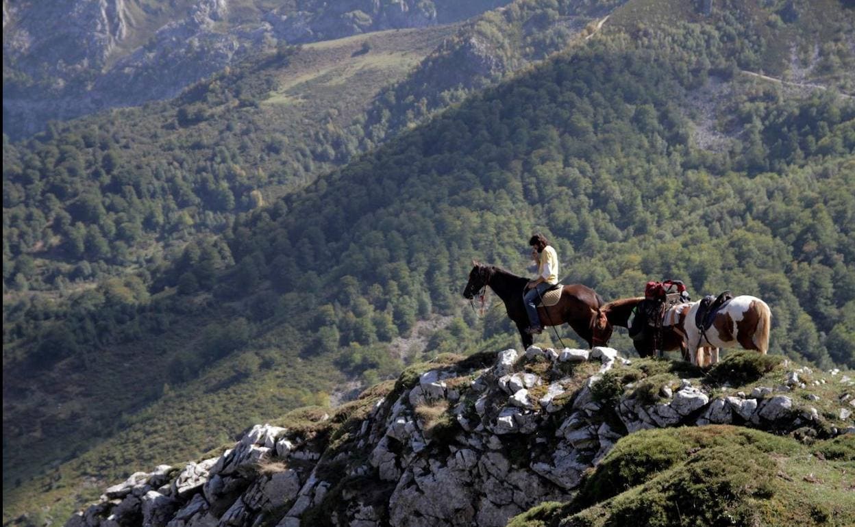 Recorrer la montaña con caballos como guías: una experiencia única en el  Parque Natural de Redes | El Comercio: Diario de Asturias