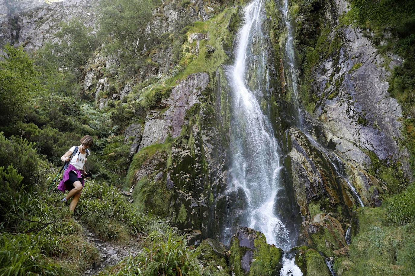 En pleno Parque Natural de Redes se encuentra el Monumento Natural del Tabayón de Mongayo, en el concejo de Caso, una de las cascadas más espectaculares de Asturias y el norte de España. Con sesenta metros de altura, está enmarcada por un frondoso hayedo y la ruta de acceso, de unos nueve kilómetros, transcurre por un paraje en el que es posible identificar árboles centenarios.