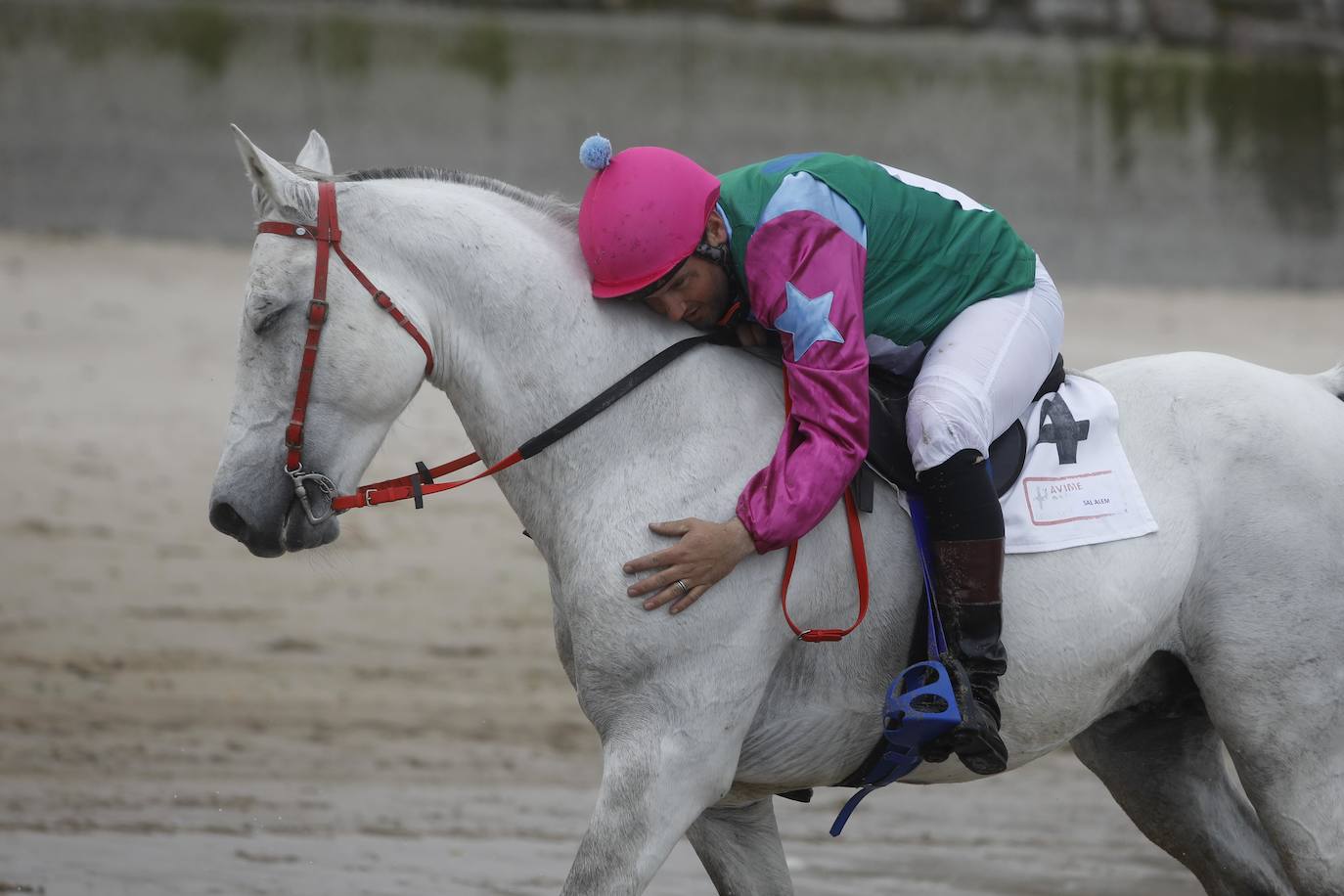 Tras dos años de parón debido a la pandemia, la playa riosellana de Santa Marina vuelve a ser el escenario de la 31 edición de las Carreras de Caballos. Las dos competiciones ecuestres que se celebran este viernes y el sábado cuentan con la participación de más de una treintena de caballos procedentes de Asturias, Galicia, Cantabria y País Vasco. Una prueba hípica de referencia en el norte de España y declarada de interés turístico regional.