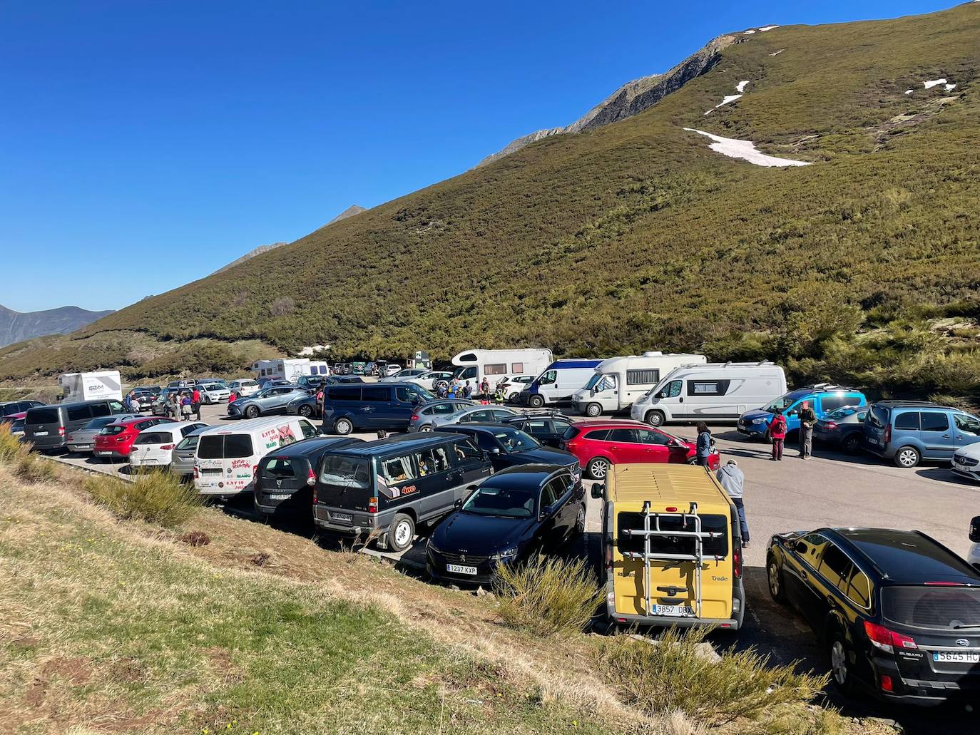 Expectación este Viernes Santo en Pola de Somiedo, después de que varios osos pardos se hayan dejado ver, para disfrute de turistas y locales 
