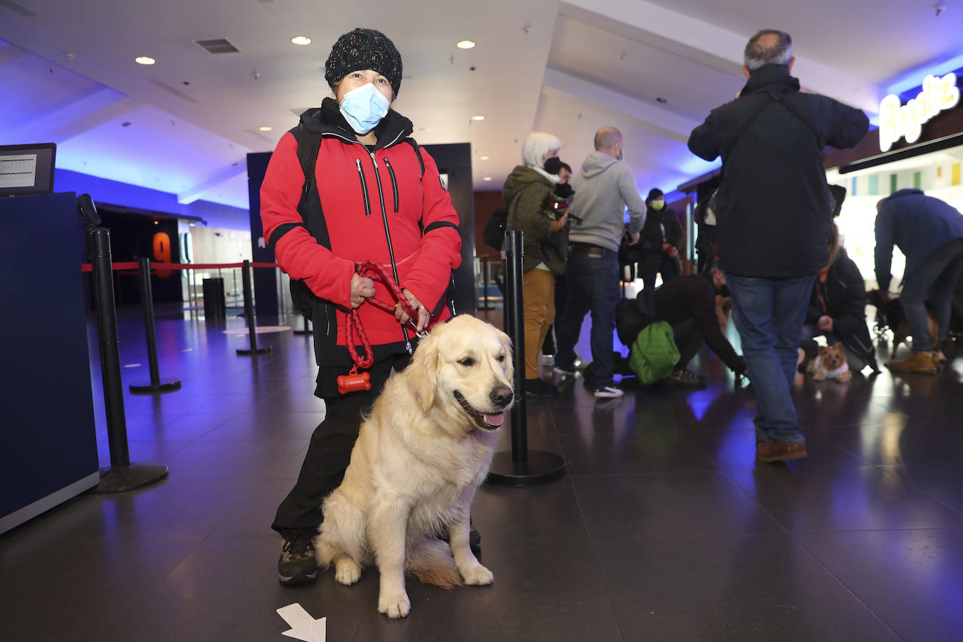 Fotos: El séptimo arte es &#039;dogfriendly&#039; en Gijón