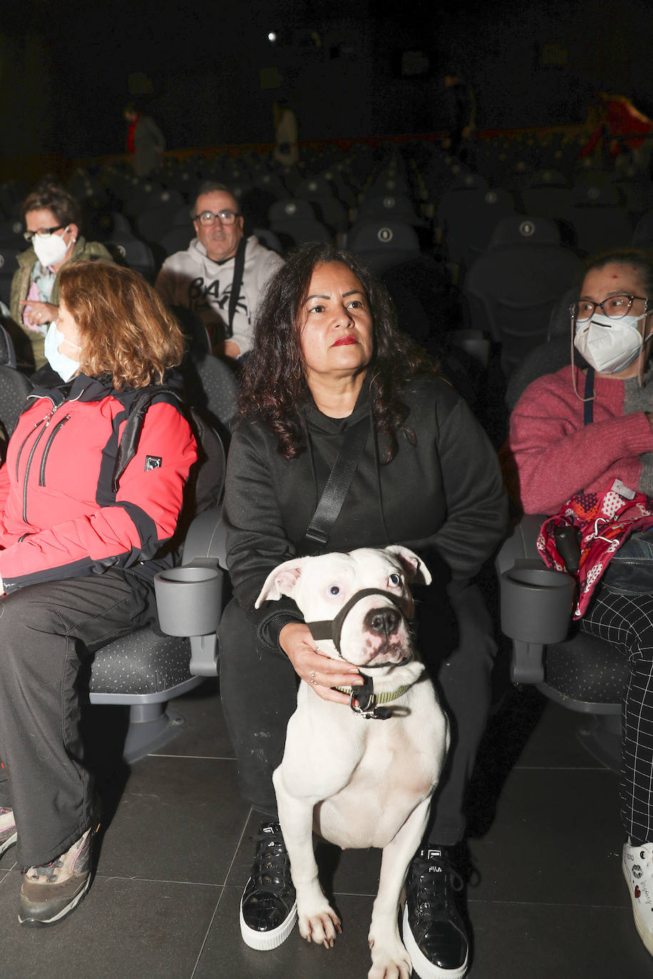 Fotos: El séptimo arte es &#039;dogfriendly&#039; en Gijón