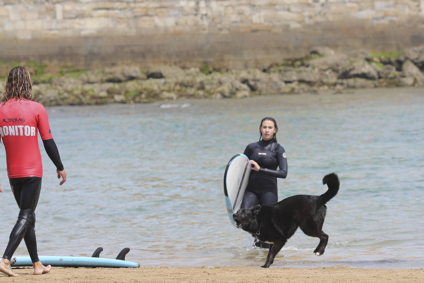 La playa gijonesa de San Lorenzo se ha llenado de perros este sábado, último día antes del inicio de la temporada de baños, periodo en el que los canes no pueden acceder al arenal. 