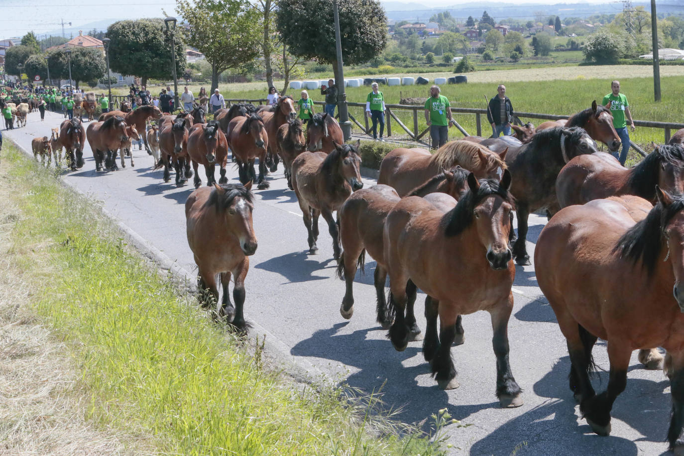 La feria ganadera se vivió este sábado con gran expectación y participación en una edición que devuelve a Llanera su identidad, tras el parón de su tradicional fiesta de San Isidro por la pandemia.