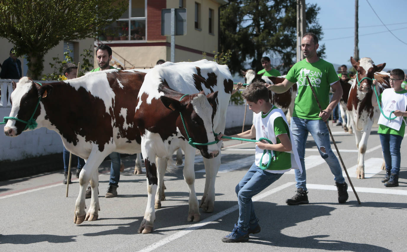 La feria ganadera se vivió este sábado con gran expectación y participación en una edición que devuelve a Llanera su identidad, tras el parón de su tradicional fiesta de San Isidro por la pandemia.