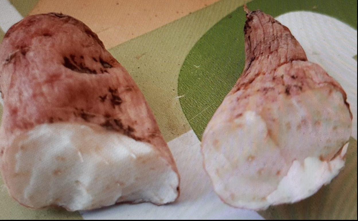 El nabo del diablo provoca la muerte de un hombre. 