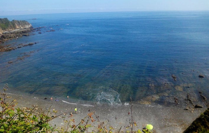 Playa canina de Cambaredo, en El Franco, La Caridad