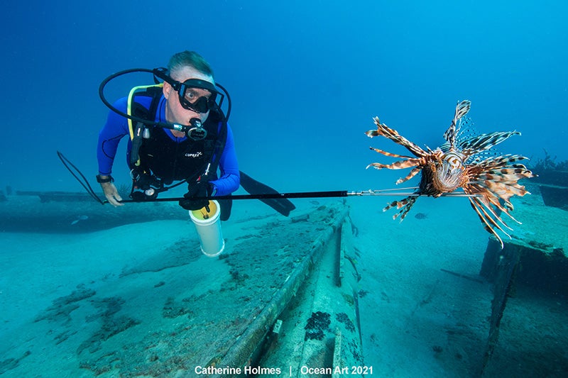 Las imágenes ganadoras del concurso 'Ocean Art' de fotografía submarina organizado por la publicación 'Underwater Photography'. 