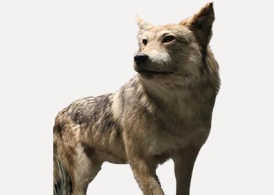 Imagen secundaria 1 - Los secretos que ocultaba el Templo Mayor de Tenochtitlan