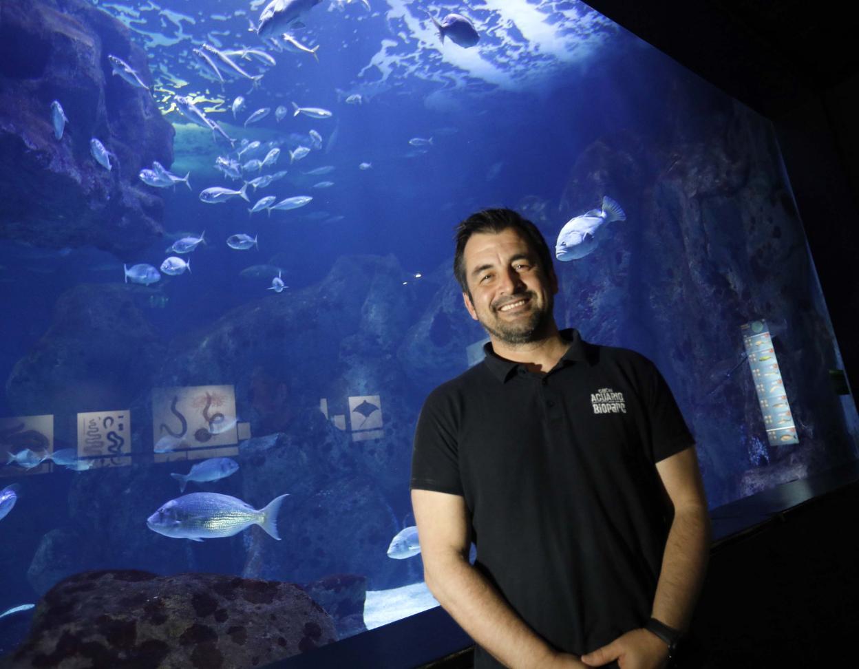 Alejandro Beneit, ante el estanque de los tiburones. 