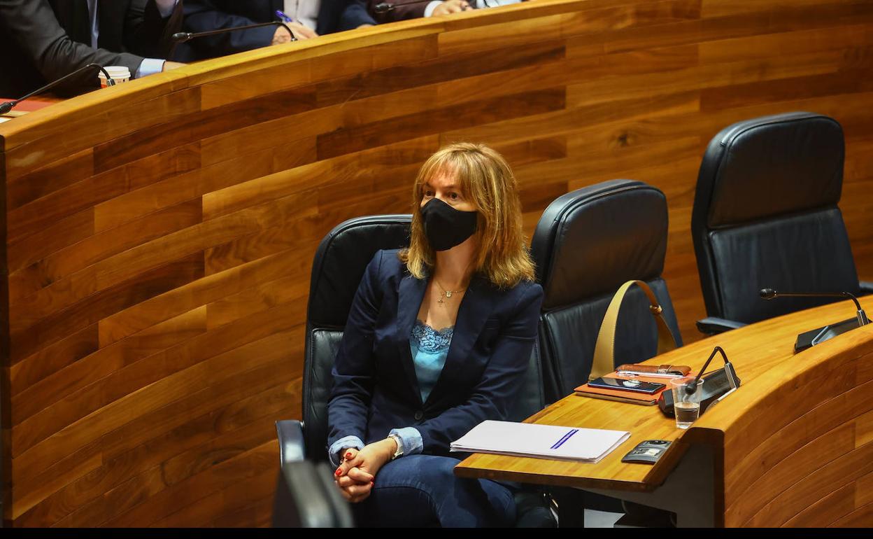 La consejera de Hacienda, Ana Cárcaba, durante el pleno.