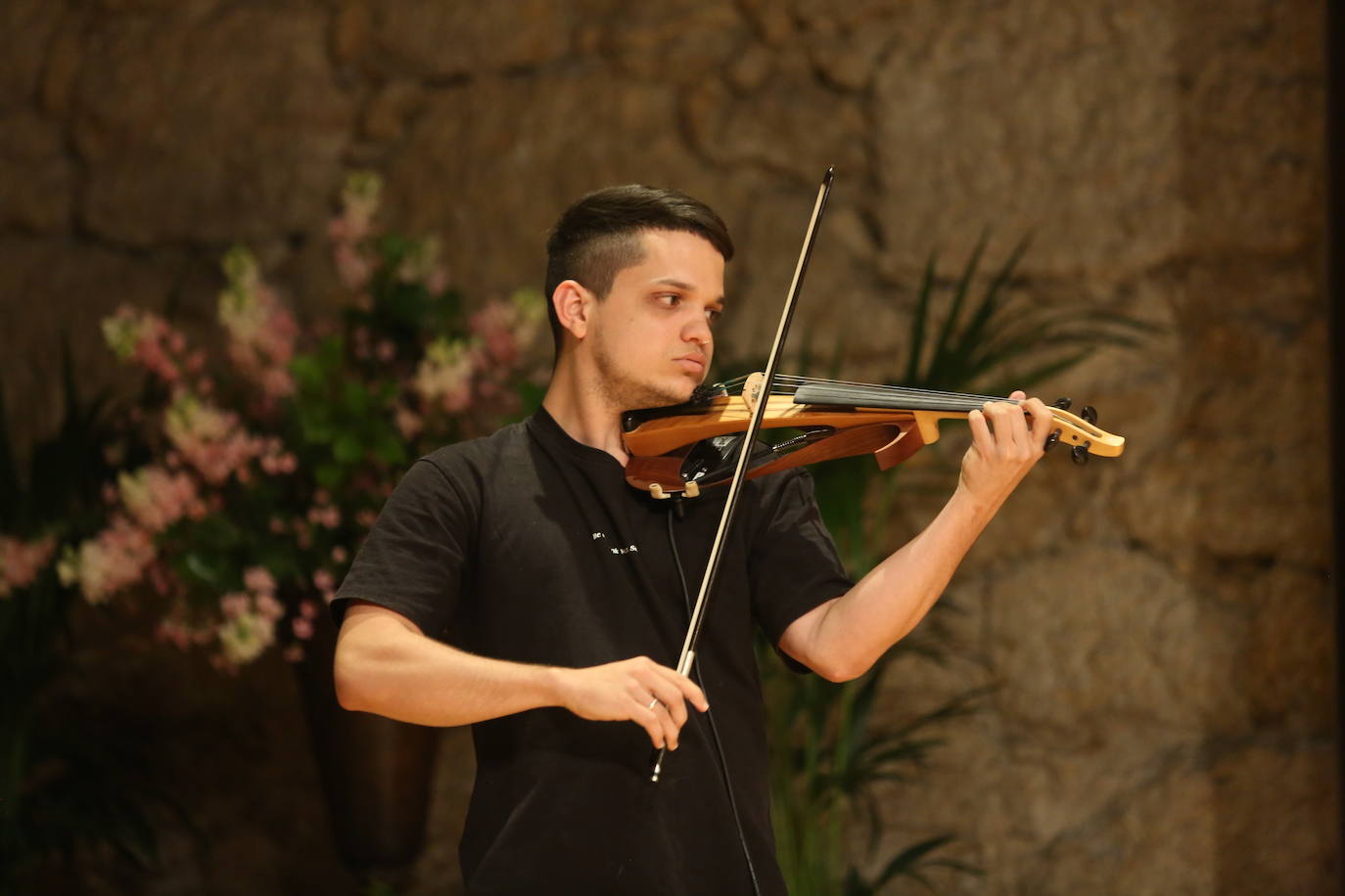 Fotos: Nueve mariposas que vuelven a volar