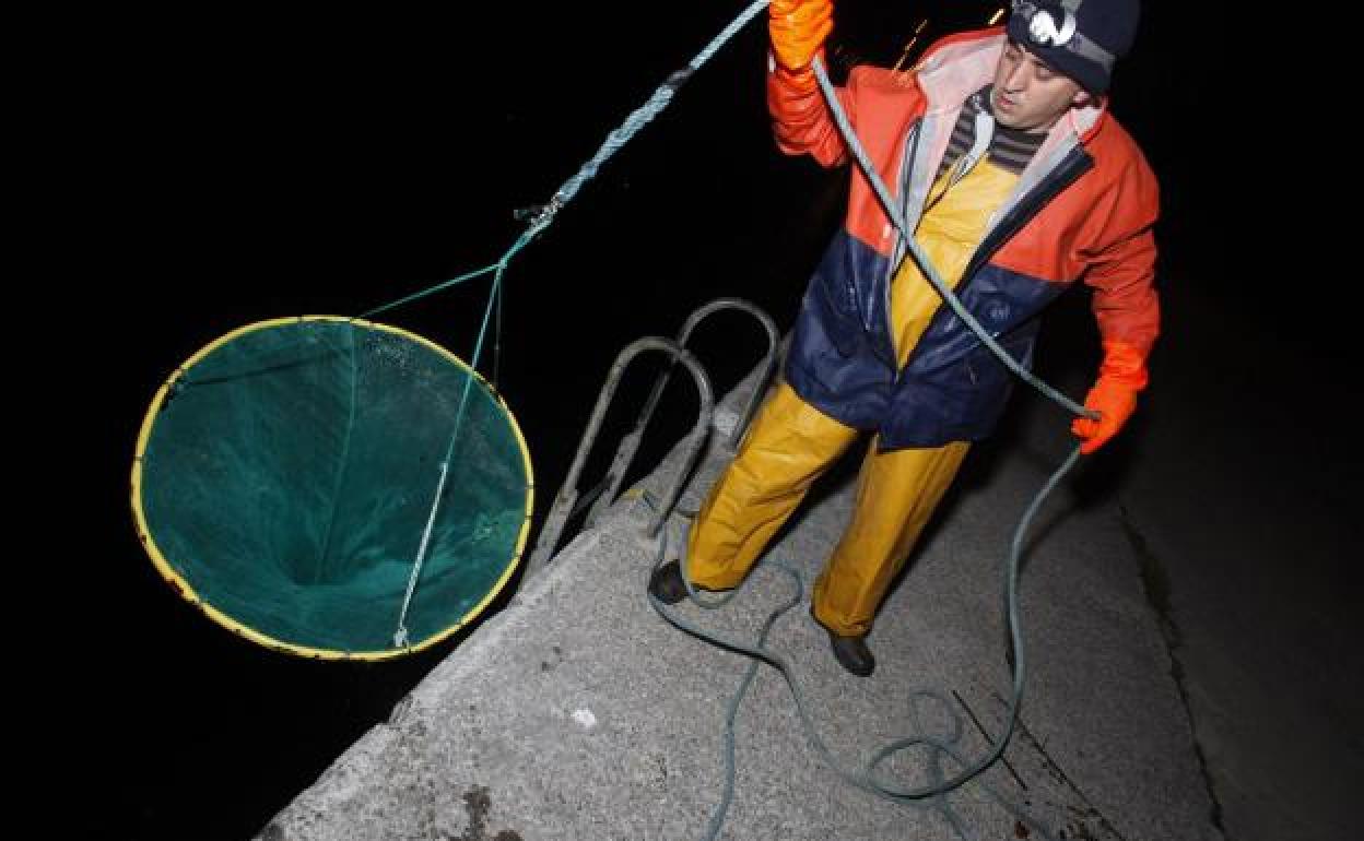 El Principado abre una línea de ayudas para los pescadores de la angula del Nalón