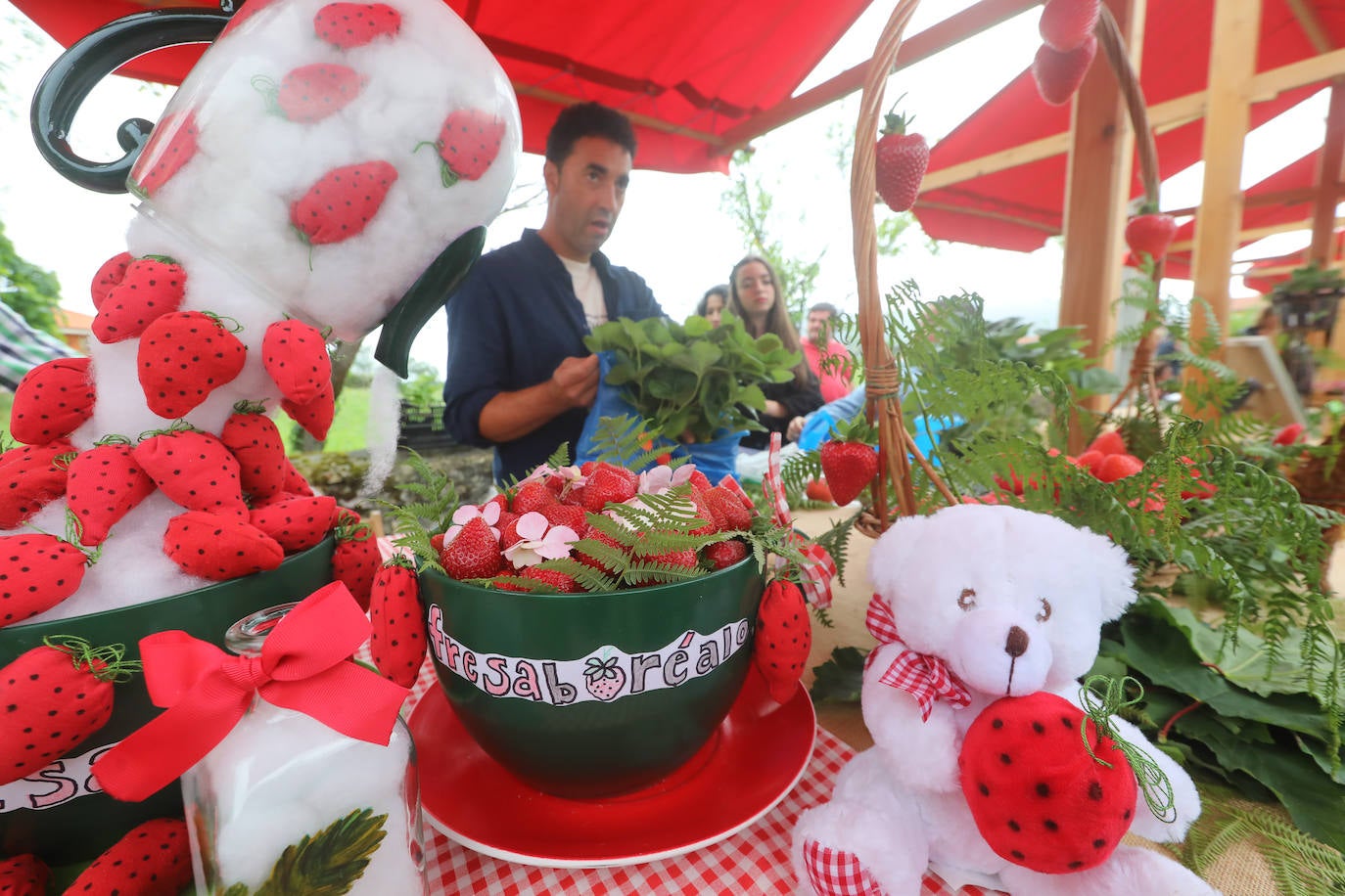 El Festival de la Fresa de Candamo alcanza su 43 edición. Pese al mal tiempo, en el certamen participaron 16 productores y hasta se presentó una variedad autóctona, rescatada del olvido tras varias décadas sin producción. 
