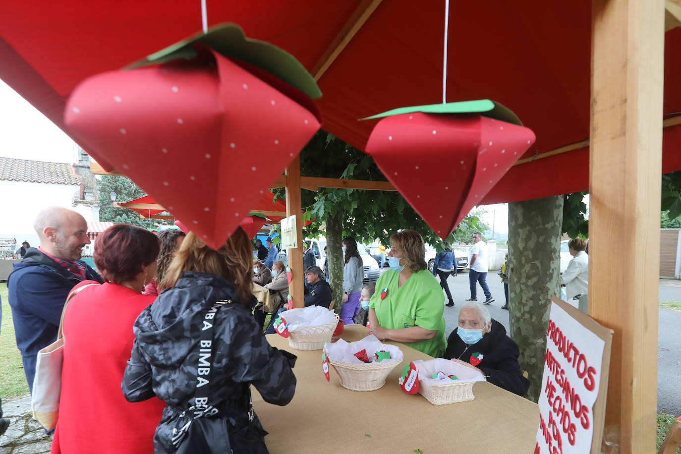 El Festival de la Fresa de Candamo alcanza su 43 edición. Pese al mal tiempo, en el certamen participaron 16 productores y hasta se presentó una variedad autóctona, rescatada del olvido tras varias décadas sin producción. 
