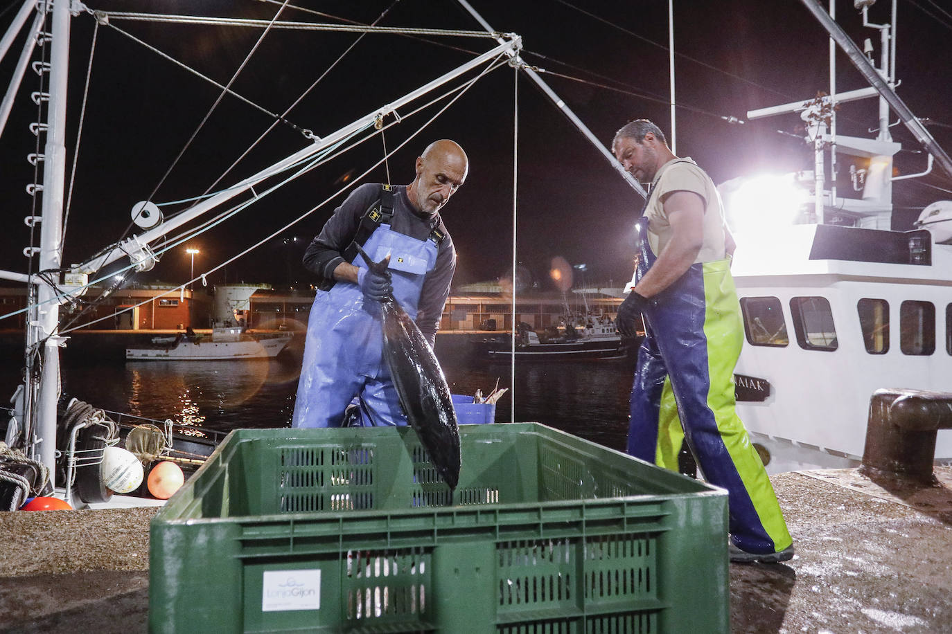 Fotos: El primer bonito de la temporada en Gijón