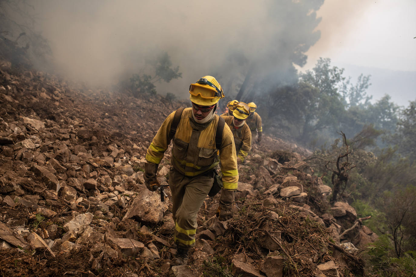 Los trabajos de las Brigadas Forestales no cesan en Zamora. 