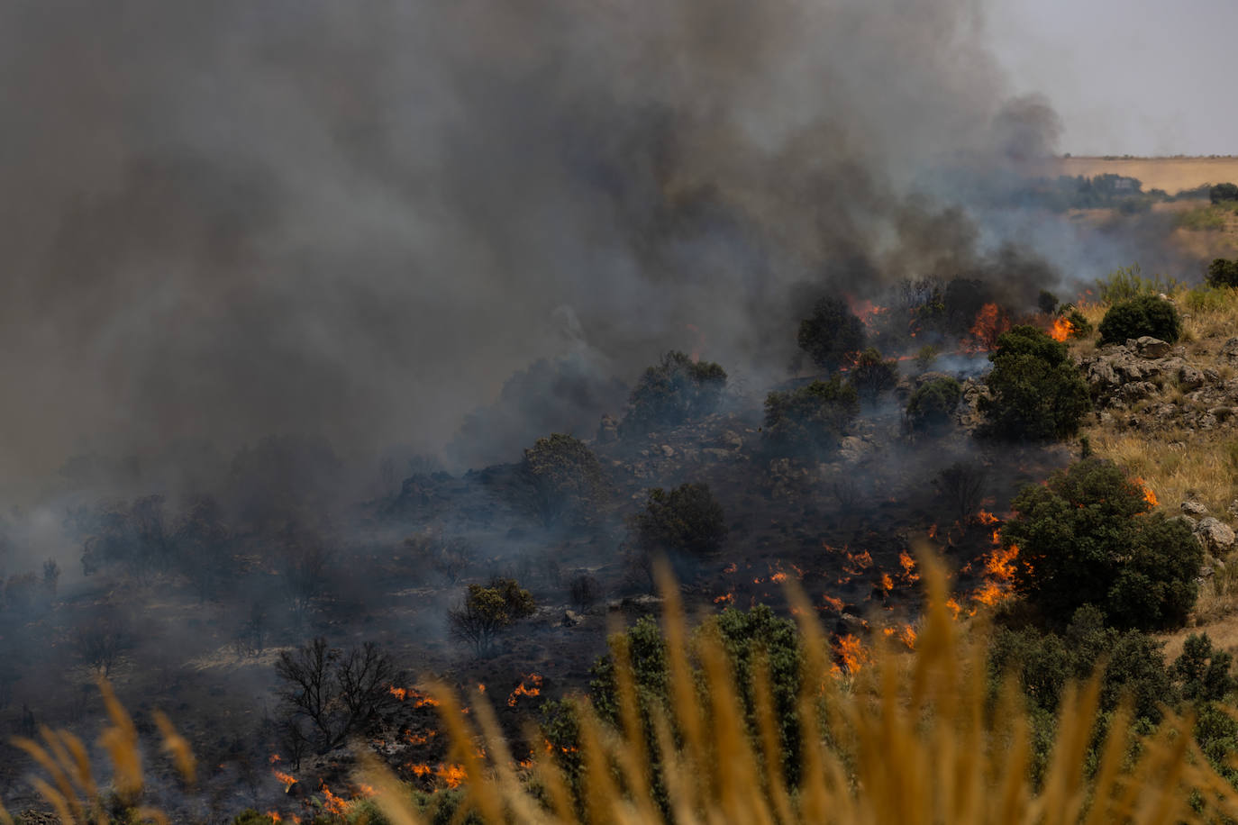 El fuego que se ha originado en la Finca Zurraquín ya está considerado como de nivel 0, dado por controlado 