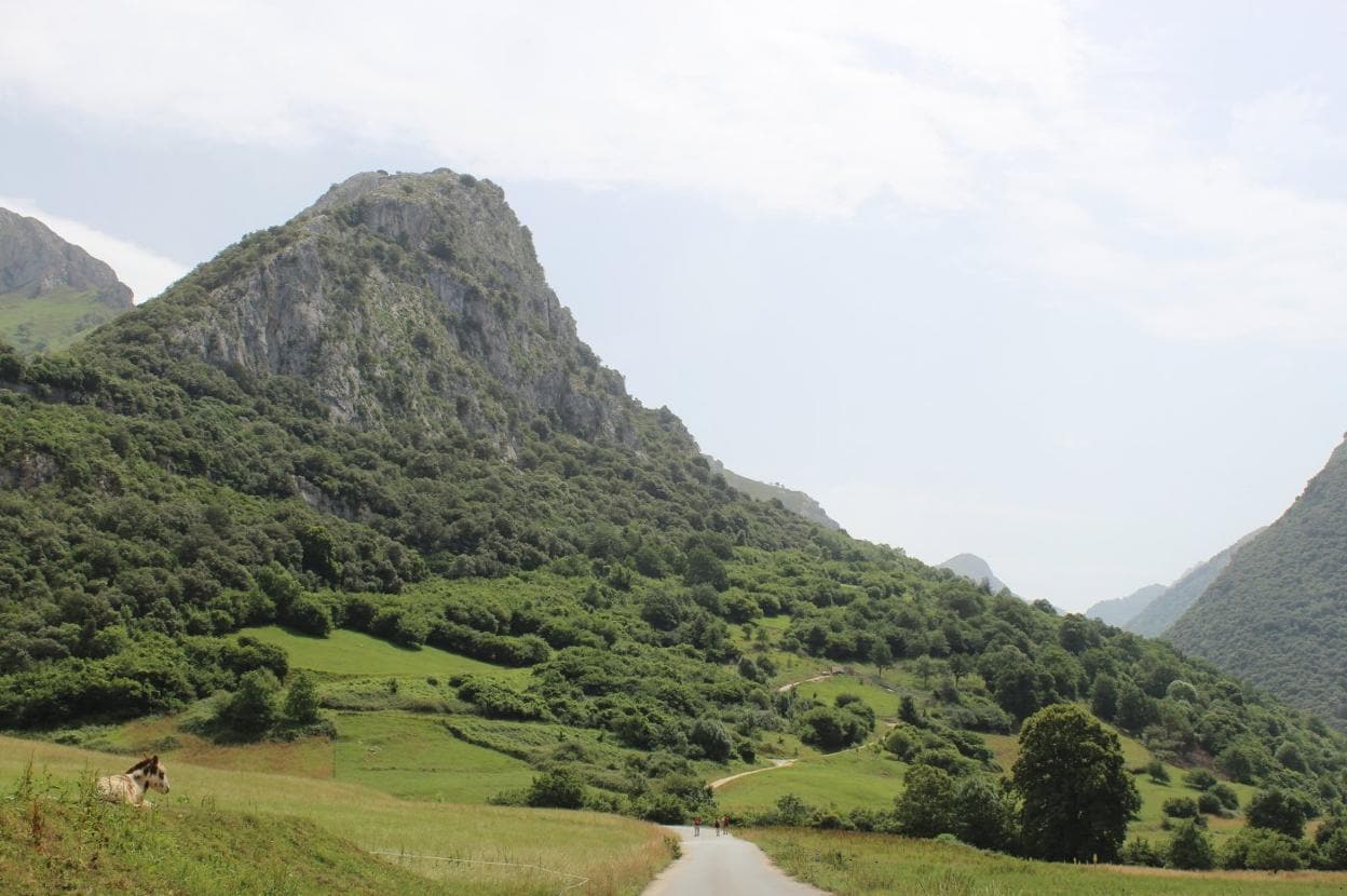 Fallece un danés de 69 años en la ruta de la sierra cabraliega de Juan  Robre | El Comercio: Diario de Asturias