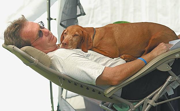 La siesta debe durar entre 10 y 20 minutos