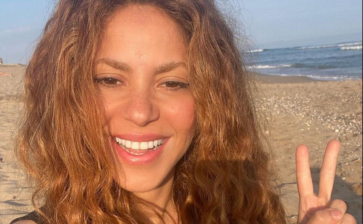 Shakira podría estar pensando en levantar un muro en torno a su hogar. 