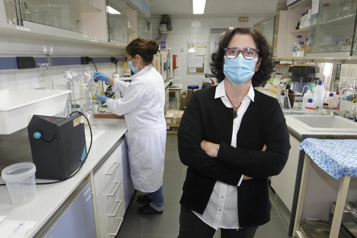 Mamen Oliván, directora gerente del Serida, en uno de los laboratorios de su sede de Villaviciosa. 