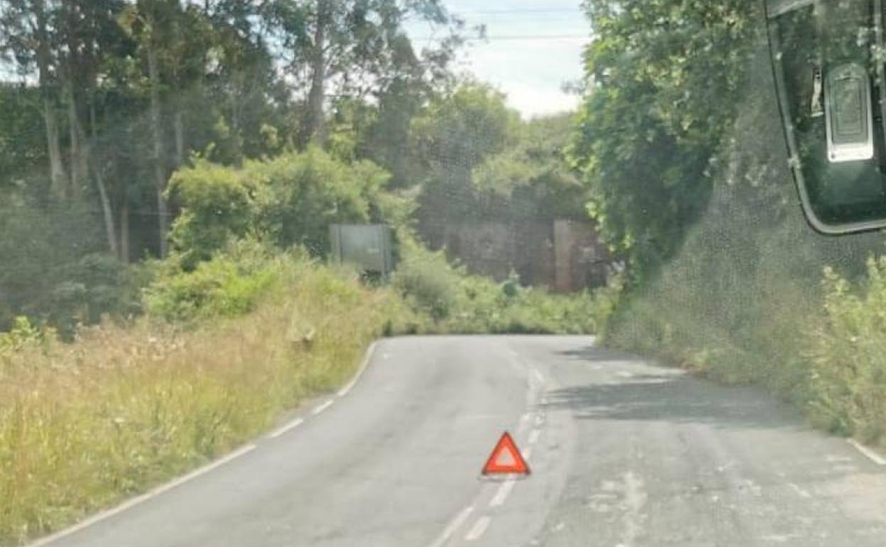 La colisión dejo temporalmente bloqueado el camino de acceso a la localidad de La Plata. 