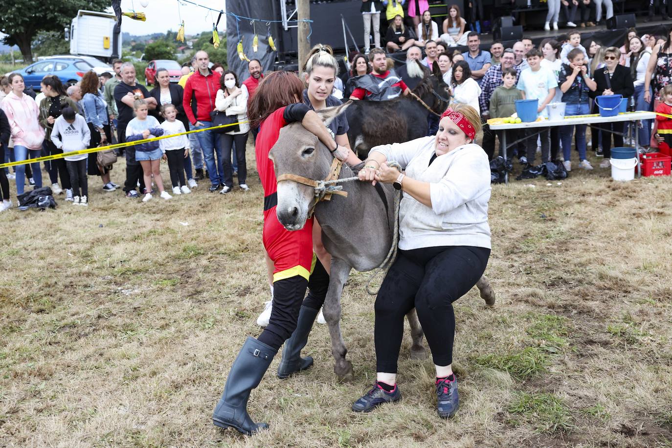 Con motivo de las fiestas de San Cristóbal Collao recuperó este lunes a partir de las ocho de la tarde su tradicional carrera de burros (con y sin disfraces). Se trata de una cita que ya suscitó cierta polémica en el pasado debido a las quejas de los colectivos animalistas, aunque la organización demostró tener todos los papeles en regla y la diversión ha continuado hasta la pandemia sin impedimento