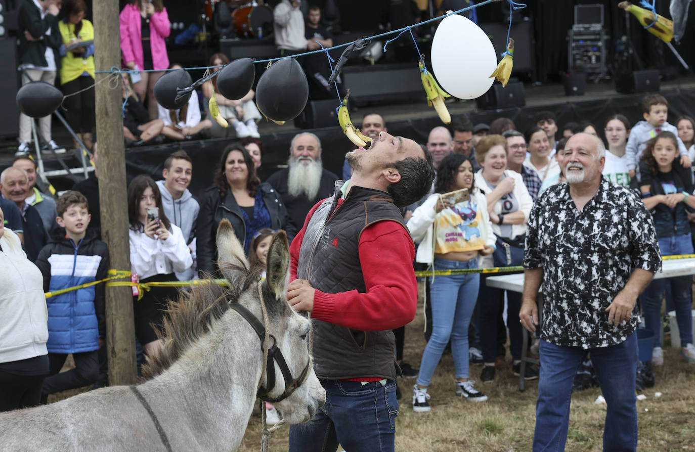 Con motivo de las fiestas de San Cristóbal Collao recuperó este lunes a partir de las ocho de la tarde su tradicional carrera de burros (con y sin disfraces). Se trata de una cita que ya suscitó cierta polémica en el pasado debido a las quejas de los colectivos animalistas, aunque la organización demostró tener todos los papeles en regla y la diversión ha continuado hasta la pandemia sin impedimento
